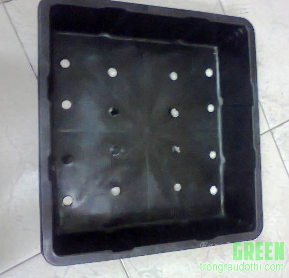 Chậu nhựa đen giá 30.000đ 